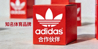 合作伙伴 - 知名体育品牌Adidas标志